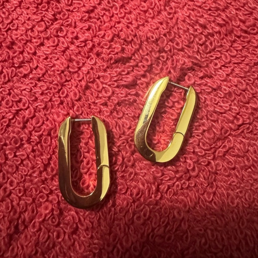 Jenny Bird Toni Link Earrings - Picture 2 of 2